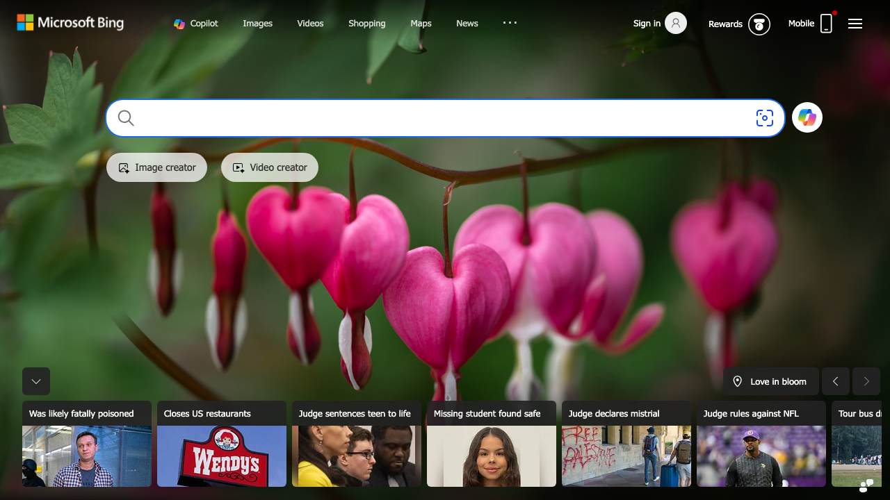 bing.com preview