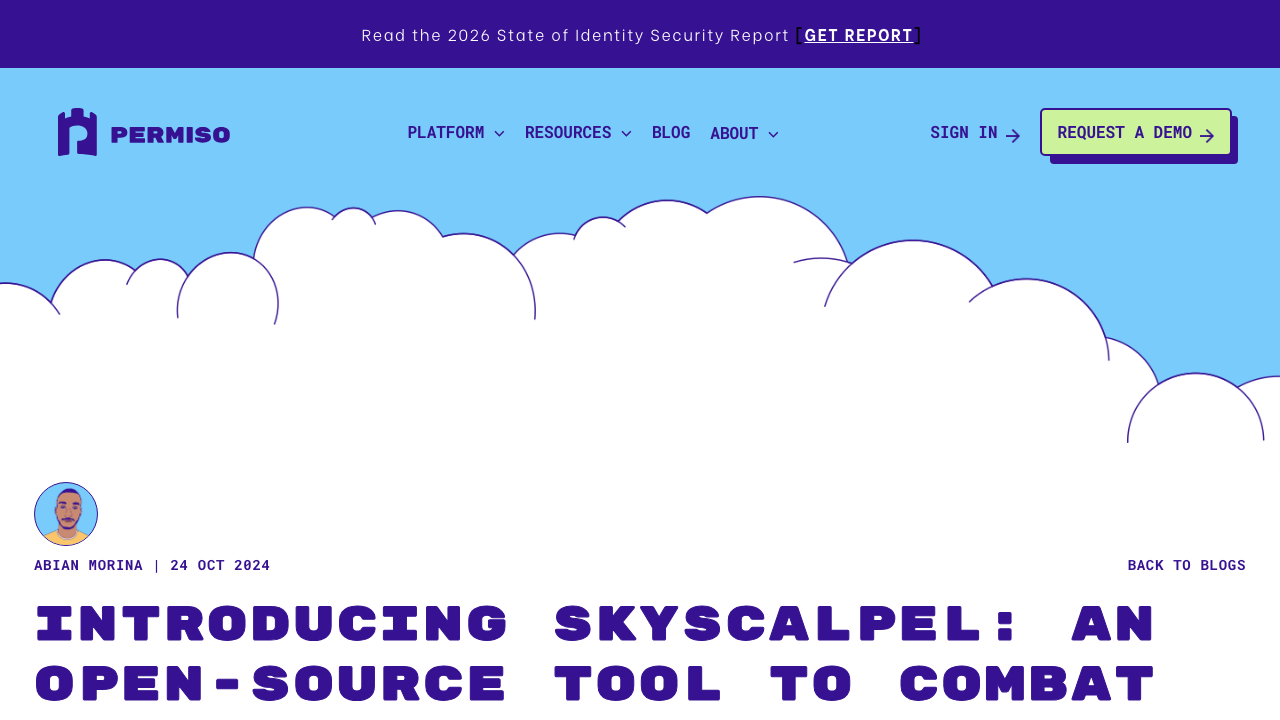 permiso.io — Blog – Introducing Sky Scalpel Open Source Tool preview