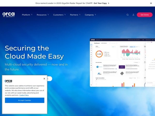 Orca Security preview