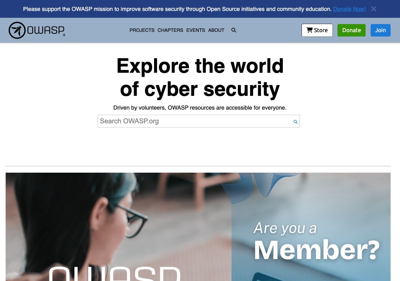 OWASP preview