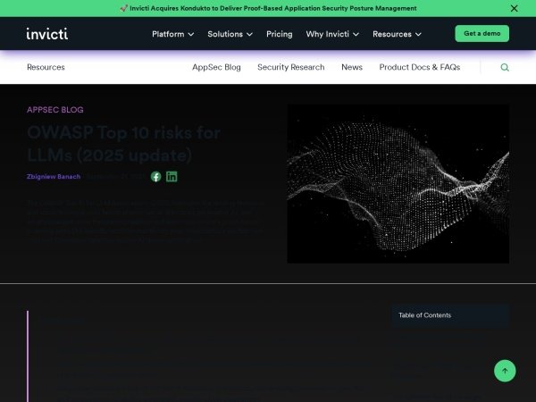 Invicti: OWASP LLM Analysis preview