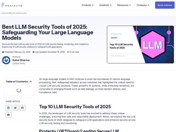 Protecto: Best LLM Tools 2025 preview