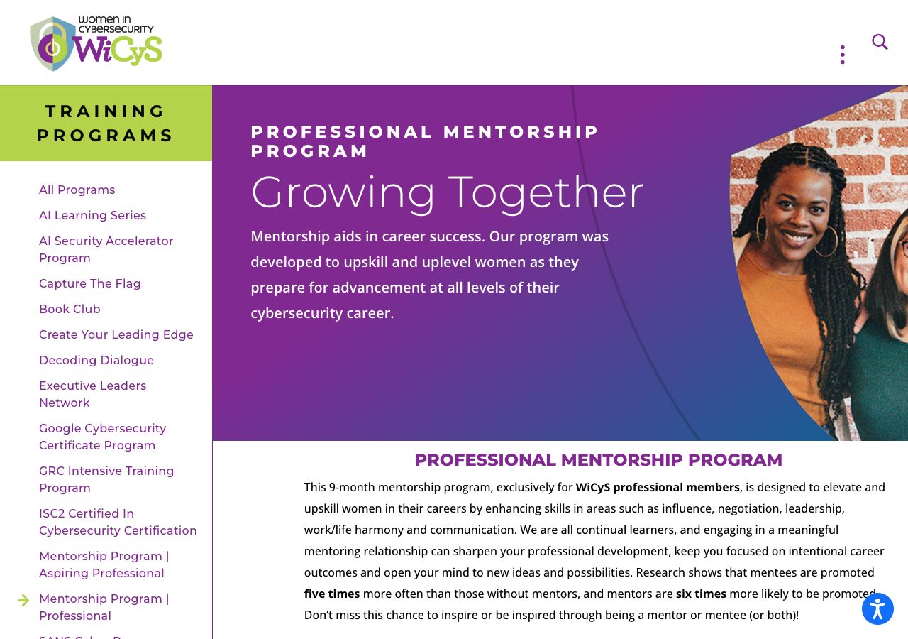 WiCyS Mentorship Program preview